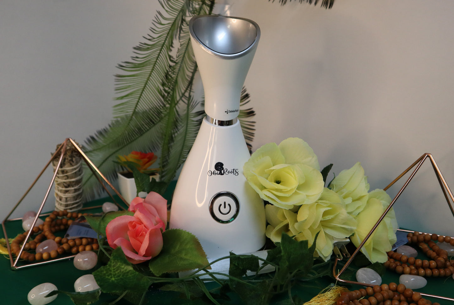 Facial Steamer